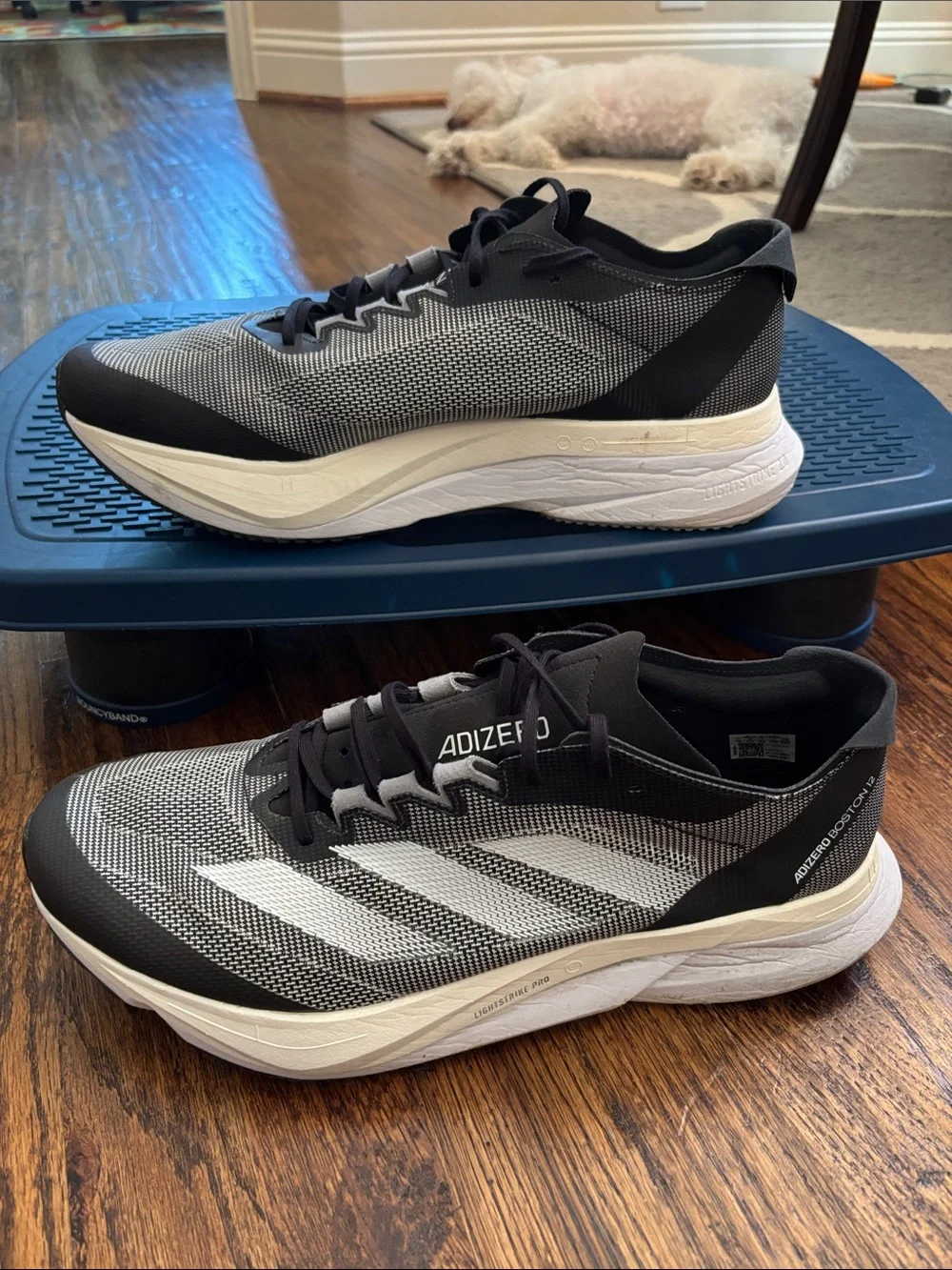 adidas these have